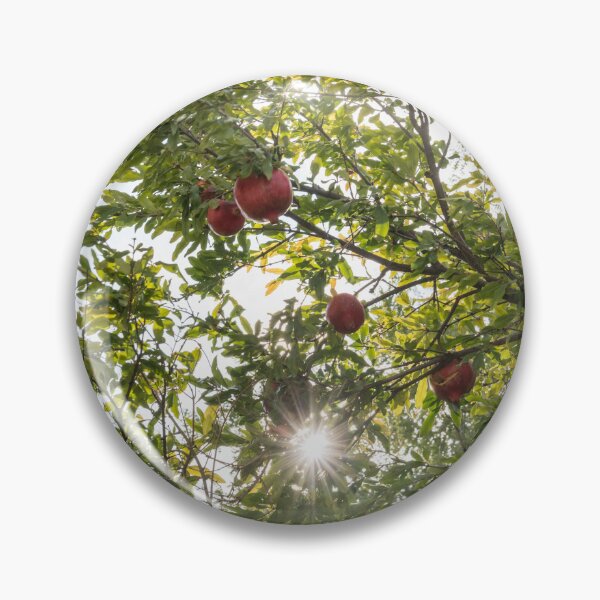 Item preview, Sweet Red Pomegranates and a Brilliant Sunburst designed and sold by Georgia Mizuleva.