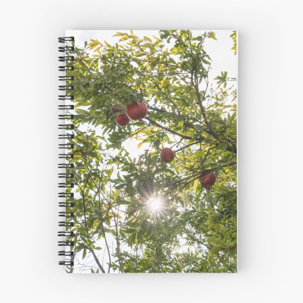 Item preview, Sweet Red Pomegranates and a Brilliant Sunburst designed and sold by Georgia Mizuleva.