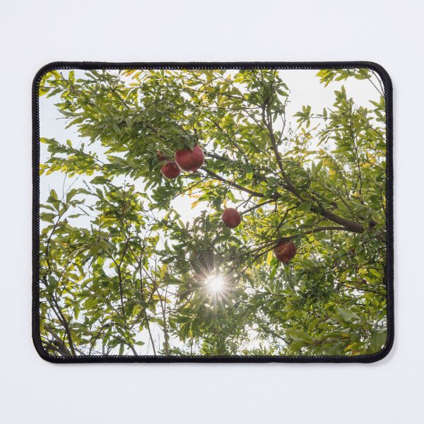 Item preview, Sweet Red Pomegranates and a Brilliant Sunburst designed and sold by Georgia Mizuleva.
