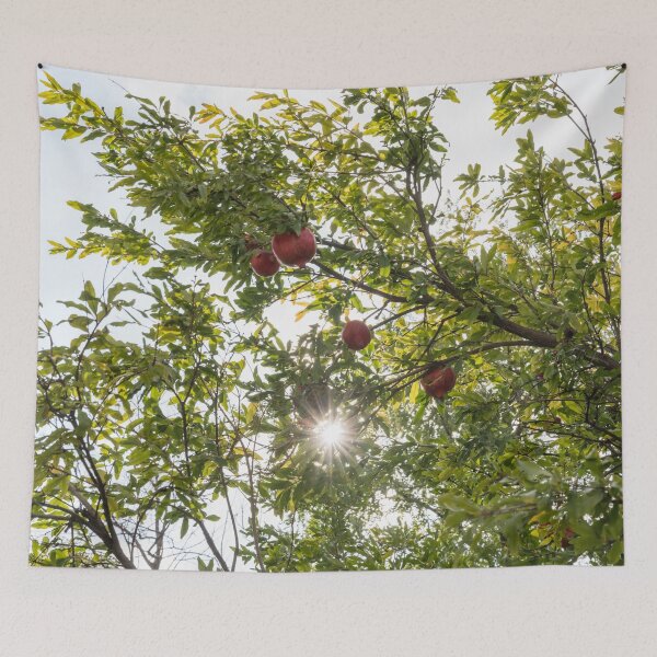 Item preview, Sweet Red Pomegranates and a Brilliant Sunburst designed and sold by Georgia Mizuleva.