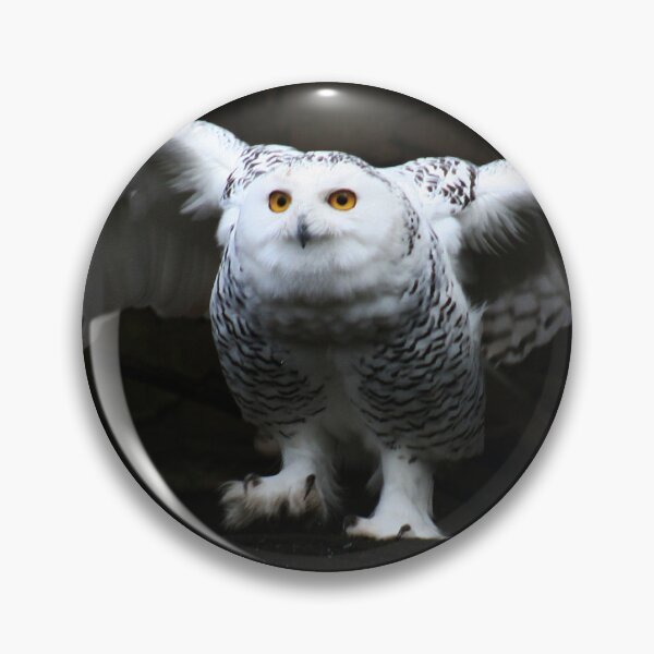 Item preview, Snowy Owl With Open Wings designed and sold by Alan Harman.