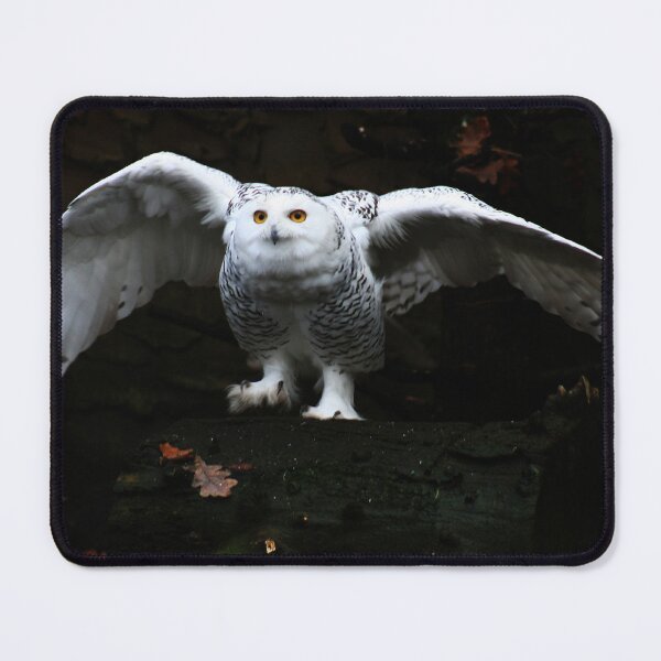 Item preview, Snowy Owl With Open Wings designed and sold by Alan Harman.