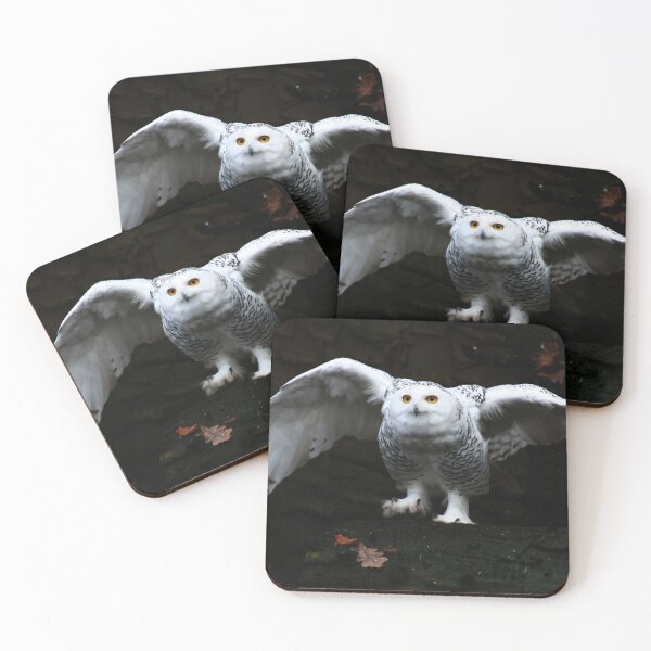 Item preview, Snowy Owl With Open Wings designed and sold by Alan Harman.