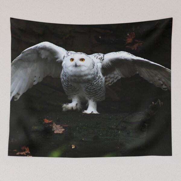 Item preview, Snowy Owl With Open Wings designed and sold by Alan Harman.