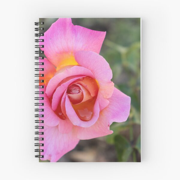 Item preview, Rose designed and sold by Allport Photography.