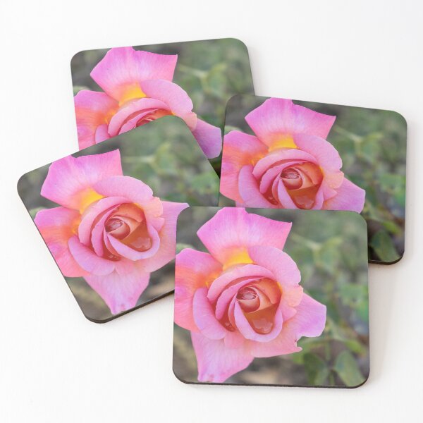 Item preview, Rose designed and sold by Allport Photography.