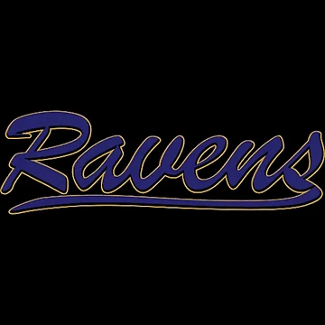 Imagen de la obra Ravens 2024 T-Shirt de RoisinMcConnell