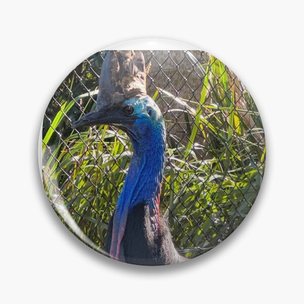 Item preview, Captive Cassowary designed and sold by trevorp.