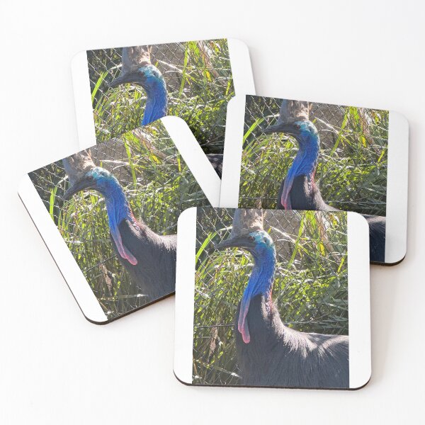 Item preview, Captive Cassowary designed and sold by trevorp.