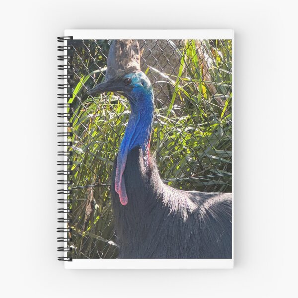 Item preview, Captive Cassowary designed and sold by trevorp.
