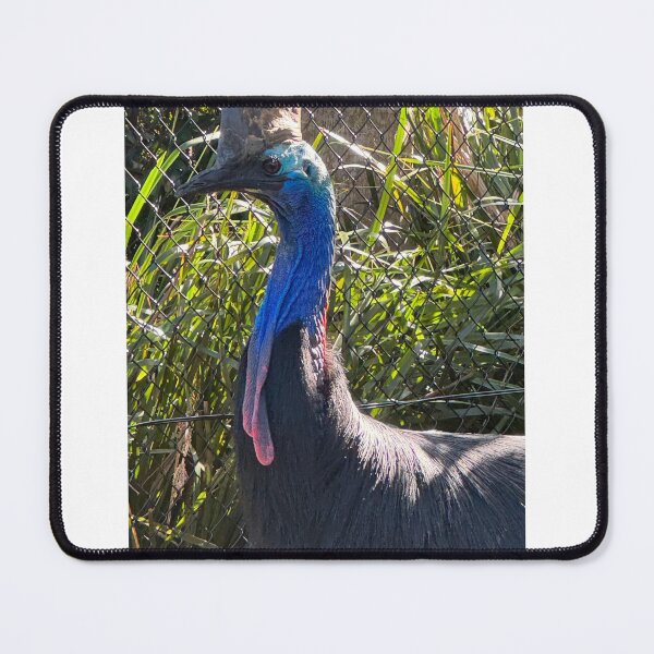 Item preview, Captive Cassowary designed and sold by trevorp.
