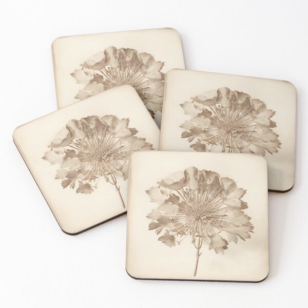 Item preview, Pressed Petals designed and sold by ONYX Pixee.