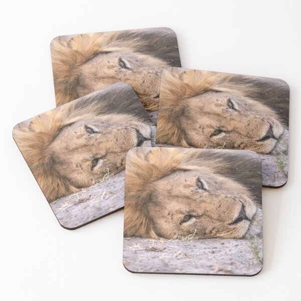 Item preview, Sekoti’s Quiet Fire — Warrior at Rest designed and sold by DavideAntoniani.