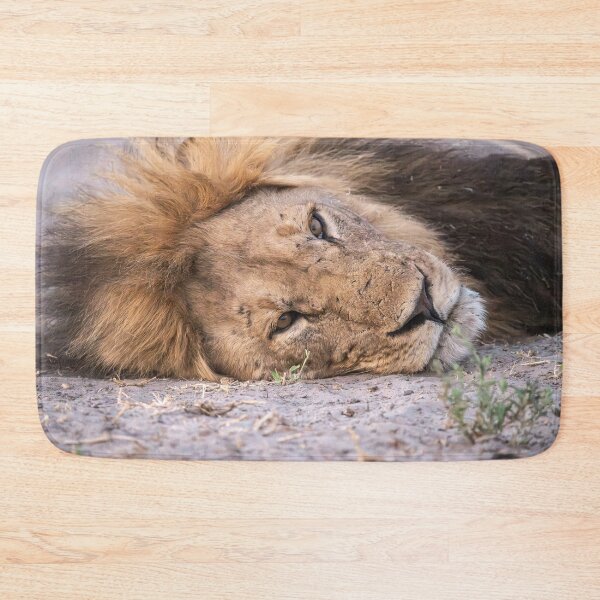 Item preview, Sekoti’s Quiet Fire — Warrior at Rest designed and sold by DavideAntoniani.