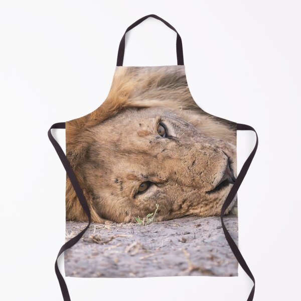 Item preview, Sekoti’s Quiet Fire — Warrior at Rest designed and sold by DavideAntoniani.