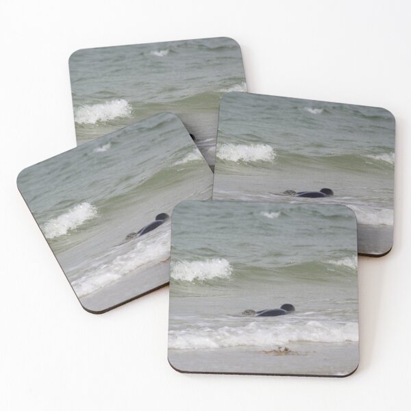Item preview, Seals at the beach designed and sold by Marije Kouyzer.