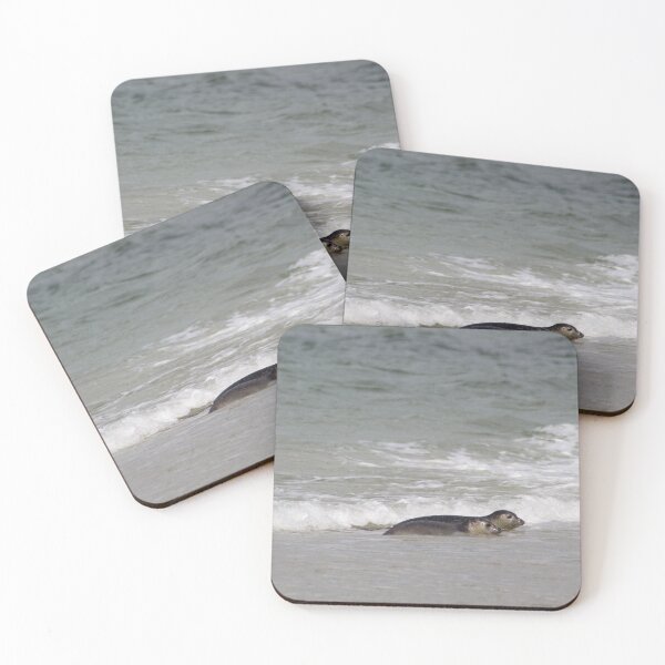 Item preview, Seals at the beach designed and sold by Marije Kouyzer.