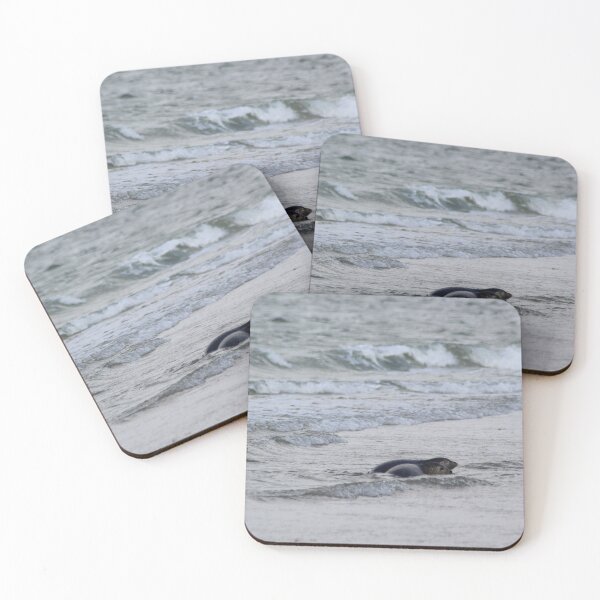 Item preview, Seals at the beach designed and sold by Marije Kouyzer.