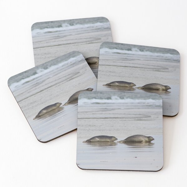 Item preview, Seals at the beach designed and sold by Marije Kouyzer.