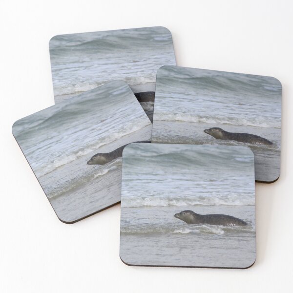 Item preview, Seals at the beach designed and sold by Marije Kouyzer.