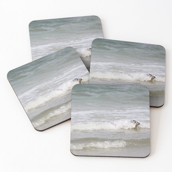 Item preview, Seals at the beach designed and sold by Marije Kouyzer.