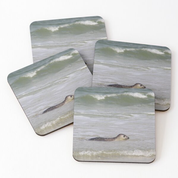 Item preview, Seals at the beach designed and sold by Marije Kouyzer.