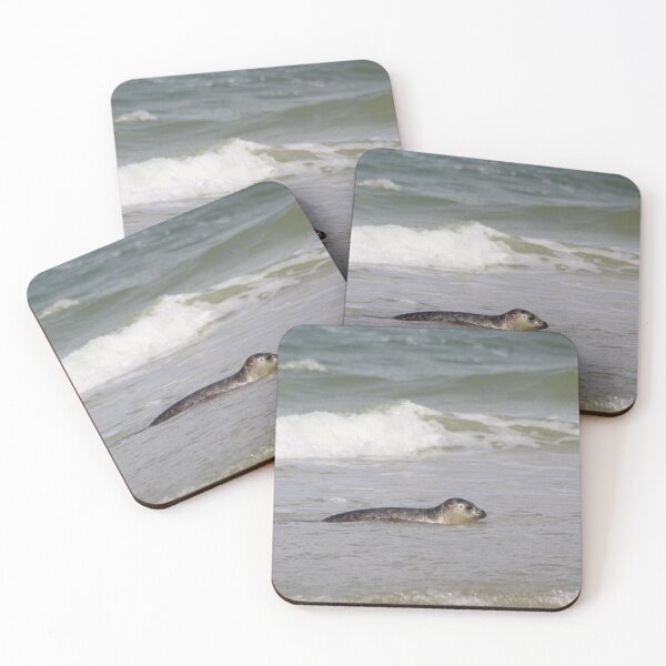 Item preview, Seals at the beach designed and sold by Marije Kouyzer.