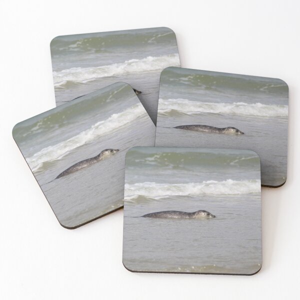 Item preview, Seals at the beach designed and sold by Marije Kouyzer.