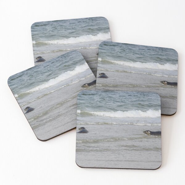 Item preview, Seals at the beach designed and sold by Marije Kouyzer.