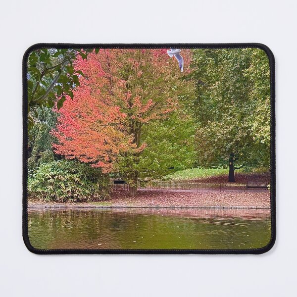 Item preview, Striking Autumn Shades in St James’s Park, London, October 2025 designed and sold by The Running London Photographer.