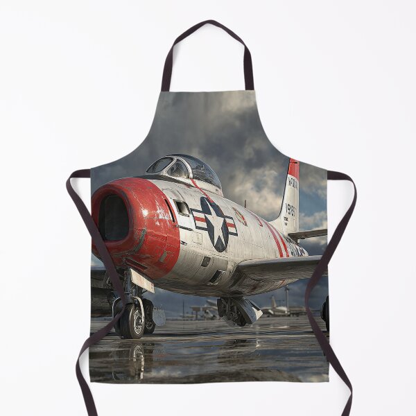 Item preview, USAF Backbone Jet designed and sold by Skyframe Aviation.