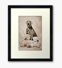 sweet hugo Framed Print
