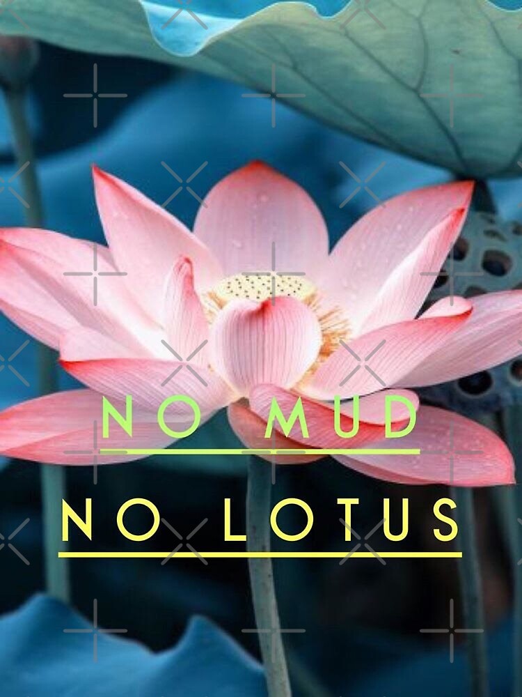 "No Mud No Lotus" Poster for Sale by NoMudNoLotus Redbubble