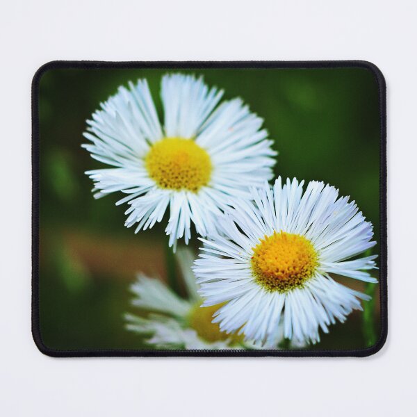 Item preview, Wild Beauty designed and sold by inlightimagery.