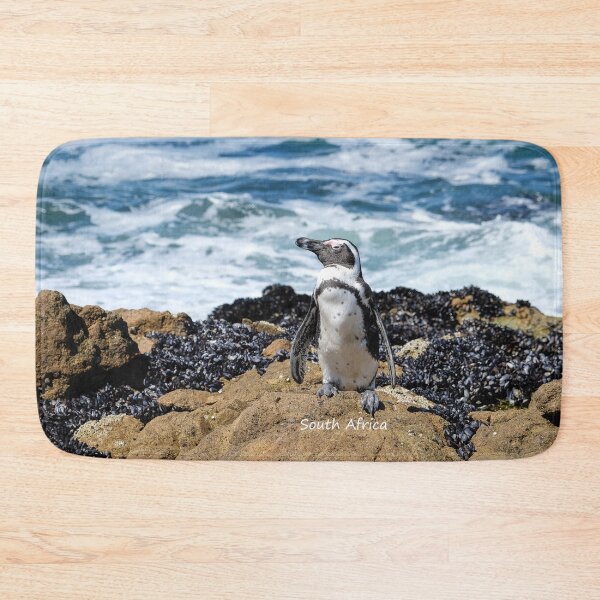 Item preview, South Africa penguin alone at the beach at the nature reserve in Langebaan waiting for his friends. designed and sold by Photos By Jadene - South Africa.