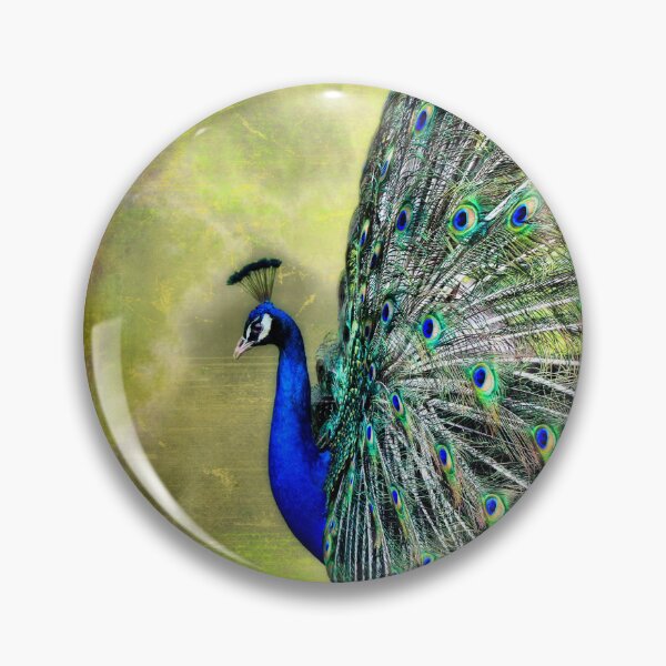 Artikelvorschau,  auch bekannt als das gemeine Pfau oder das blaue Pfau entworfen und verkauft von missmoneypenny.