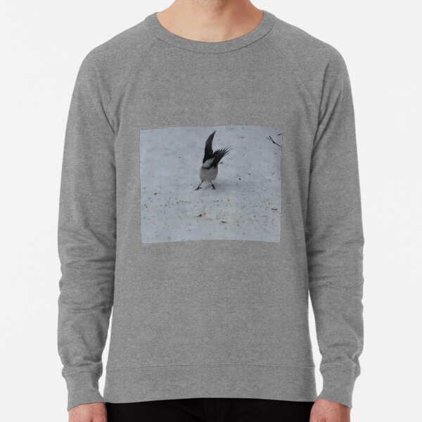 Taking Flight Lightweight Sweatshirt