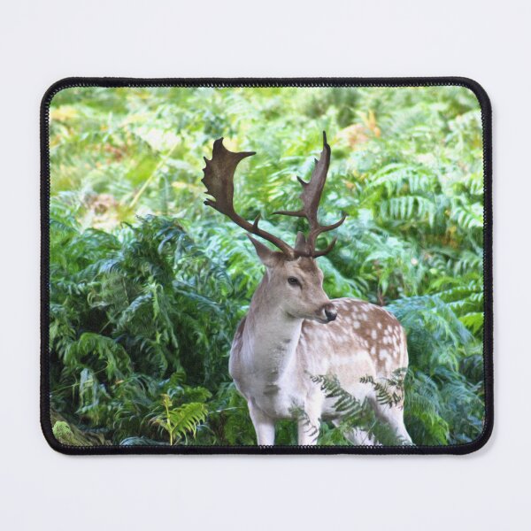 Item preview, Aesthetically perfect designed and sold by missmoneypenny.