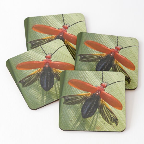 Item preview, Cardinal beetle designed and sold by missmoneypenny.