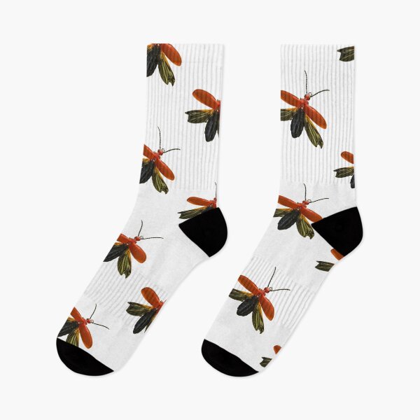 Item preview, Cardinal beetle designed and sold by missmoneypenny.