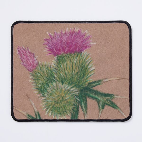 Item preview, Upcycled Colored Pencil Thistle Sketch Drawing designed and sold by A_Guy_With_Art_Supplies.