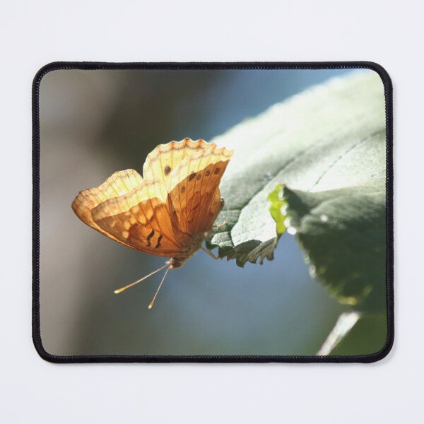 Item preview, Glowing designed and sold by Olivia Plasencia.