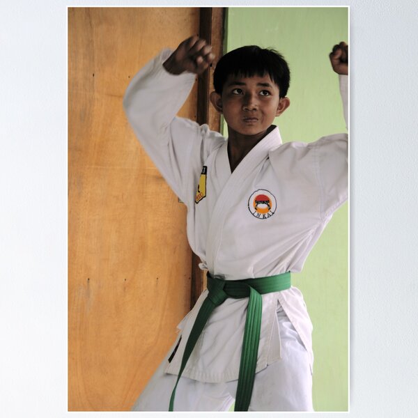 Aperçu de l'œuvre Karate Kid créée et vendue par JonathaninBali.
