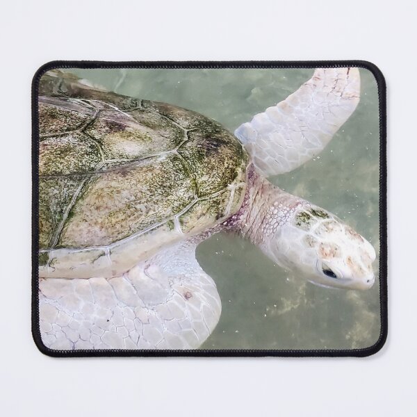 Item preview, Green turtle designed and sold by missmoneypenny.
