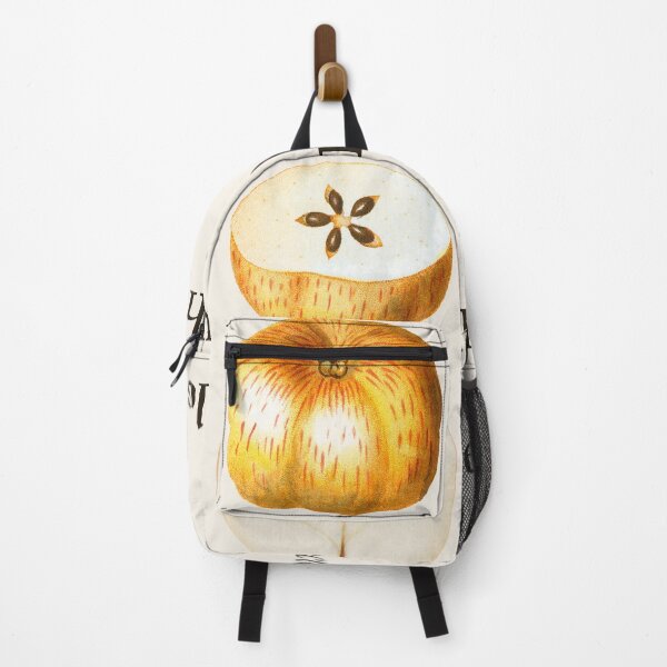 Item preview, Whole Dissected Pointless Vintage Botanical Apple designed and sold by buglevel.