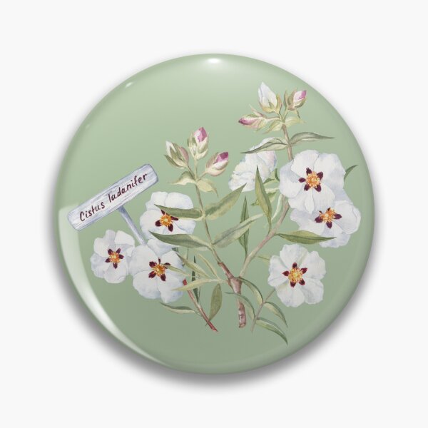 Item preview, Rockrose Flower Arrangement with a Garden Sign designed and sold by Flowersforbear.