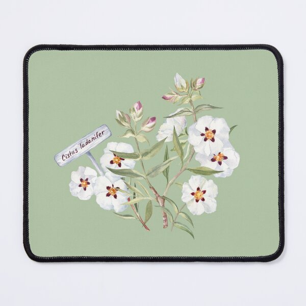 Item preview, Rockrose Flower Arrangement with a Garden Sign designed and sold by Flowersforbear.