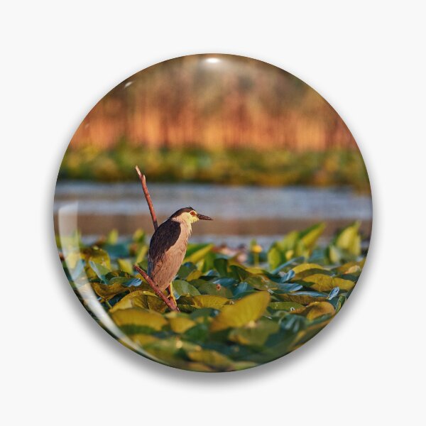 Item preview, Night heron on fishing voyage designed and sold by Andreas Koerner.