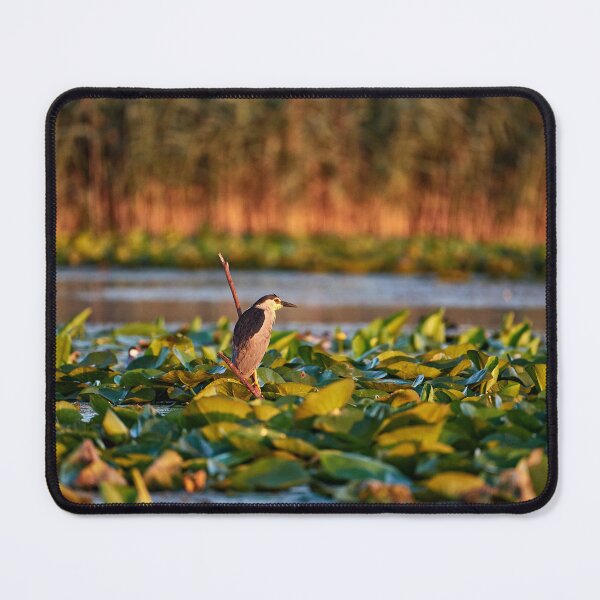 Item preview, Night heron on fishing voyage designed and sold by Andreas Koerner.