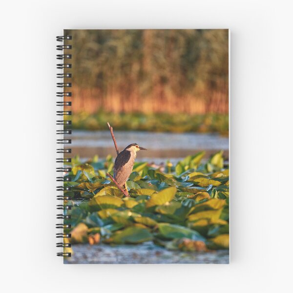 Item preview, Night heron on fishing voyage designed and sold by Andreas Koerner.